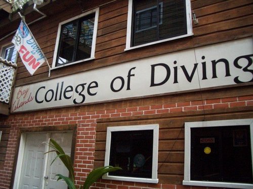bay islands college of diving.jpg