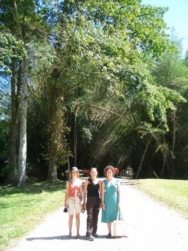 lancetilla botanical gardens.jpg