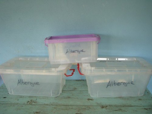 plastic containers for albergue.jpg