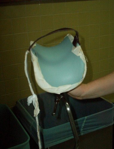 stirrups before 2.jpg