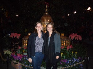 The Capitol Building at U.S. Botanical Gardens