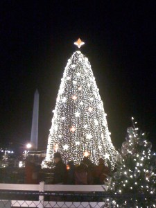 National Christmas Tree